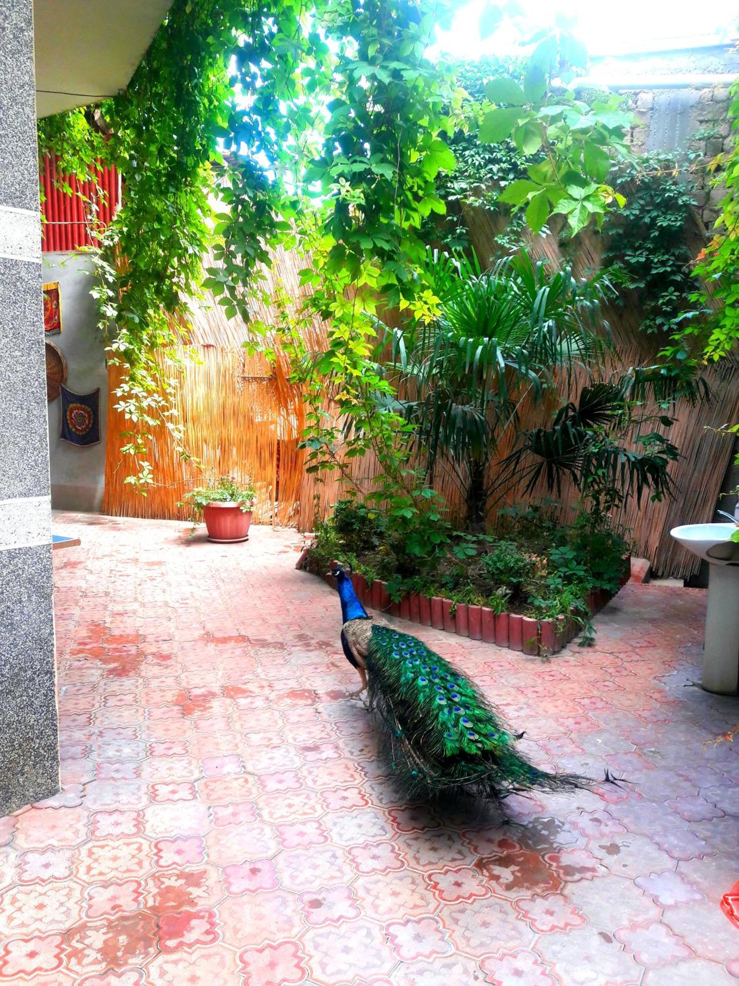 Hotel Botanical Samarkand Exterior photo